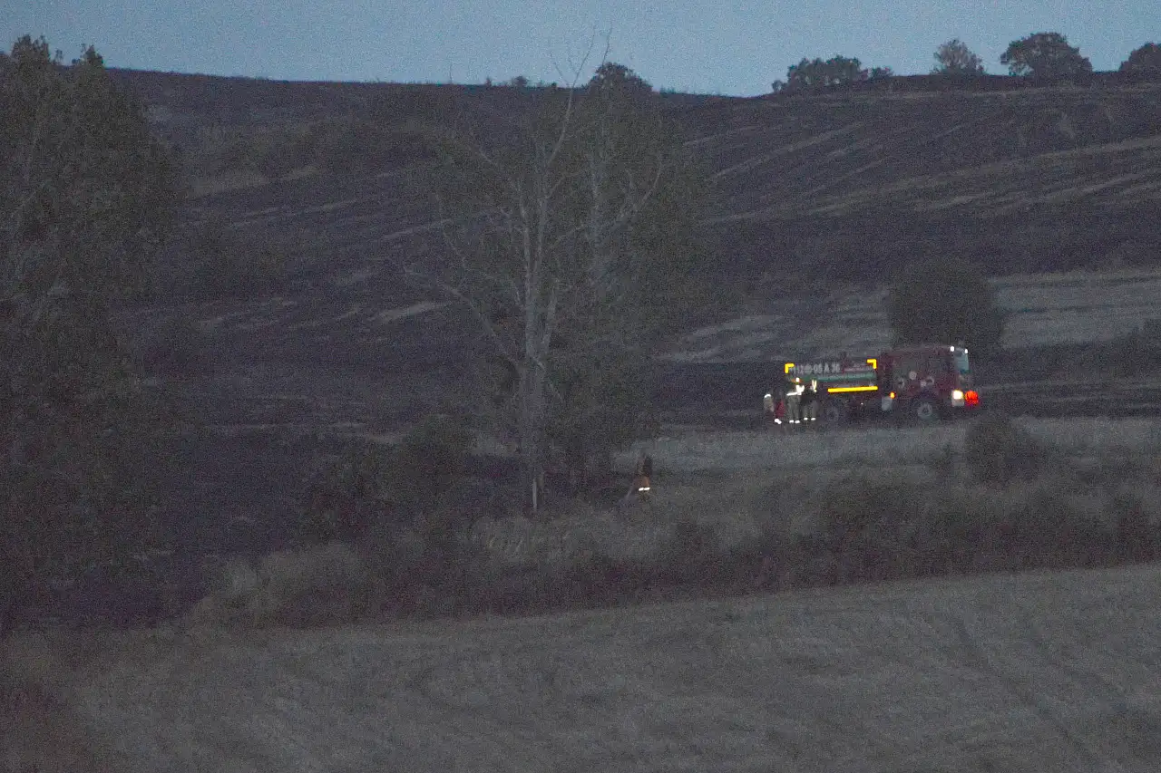 Samsun'da 150 dekar alan zarar gördü