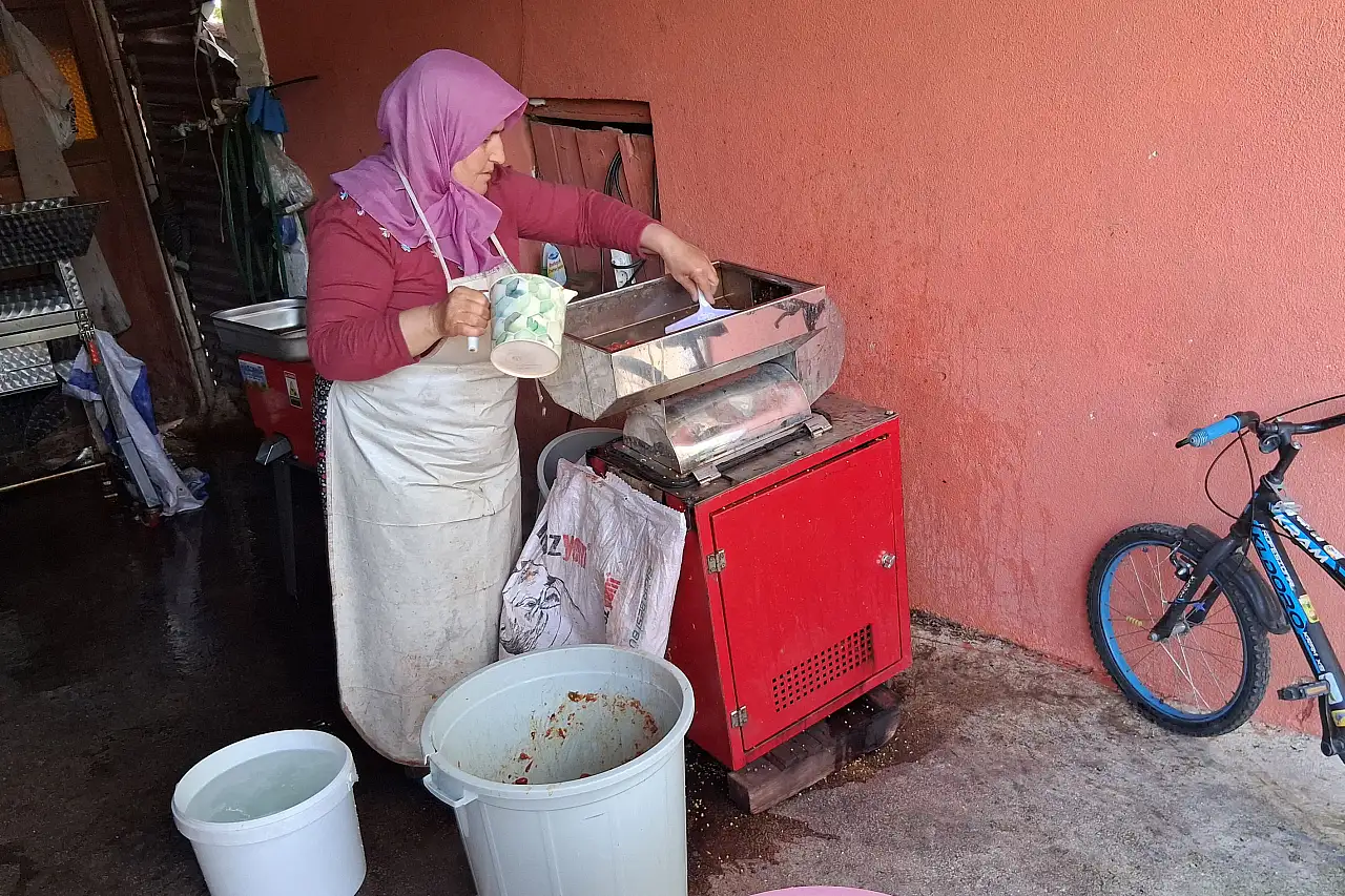 Samsun'da Kuşburnu mesaisi başladı