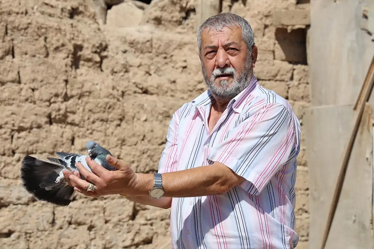 Paha biçemediği güvercinlerini bakın nasıl koruyor