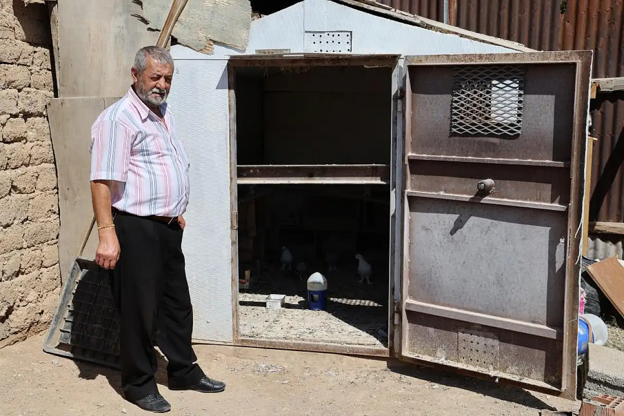 Paha biçemediği güvercinlerini bakın nasıl koruyor