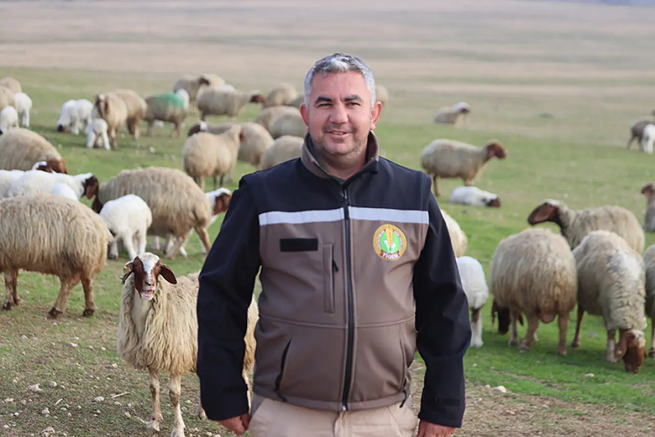 Tarımda Dev Üretim : 60 Bin İvesi Kuzu Dünyaya Geldi