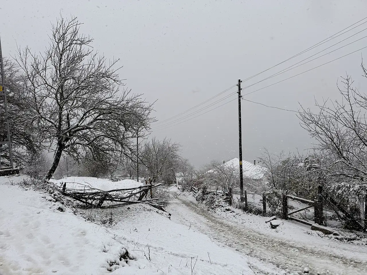 Samsun'un Zirveleri Karla Kaplandı