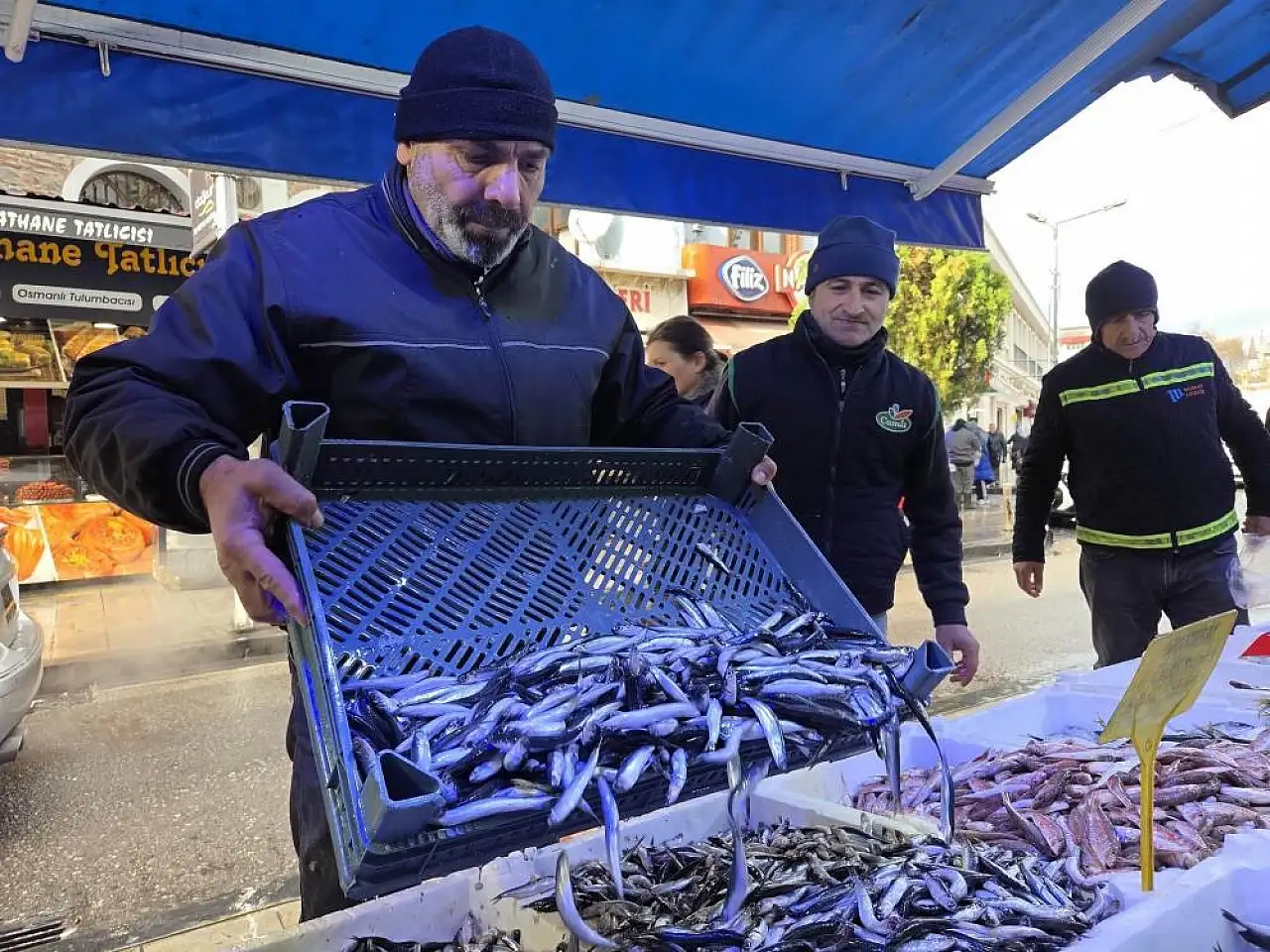 Samsun'da Hamsi 150 Lira Oldu, İlgi Azalmadı