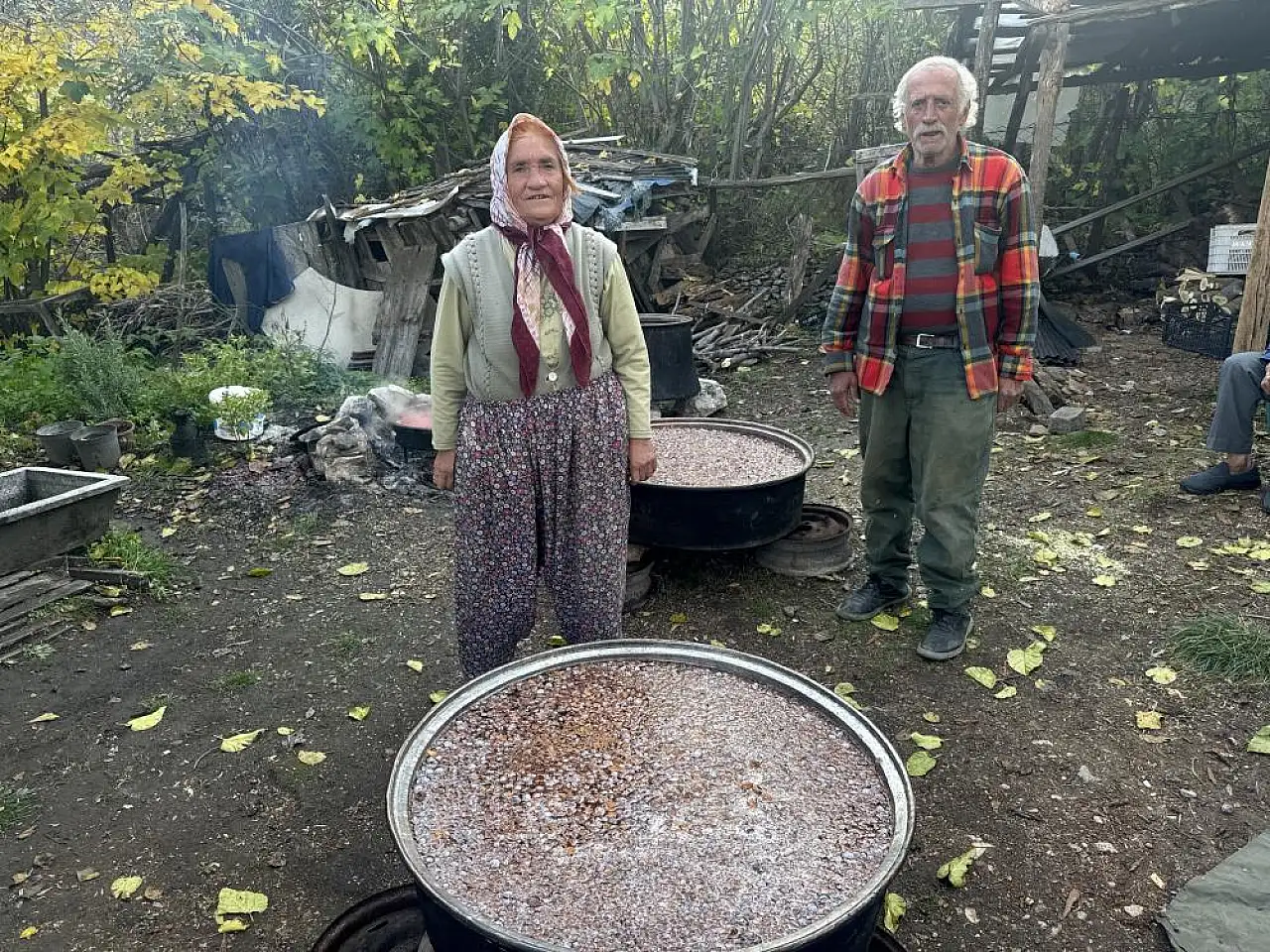 Topladıkları kozalakları şifa deposuna dönüştürüyorlar