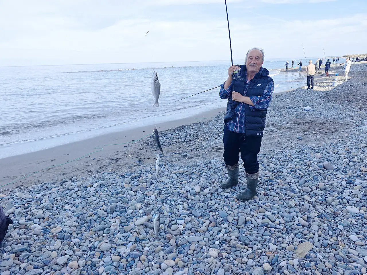 Samsun'da kafesten kaçan balıklar amatör balıkçıların yüzünü güldürdü