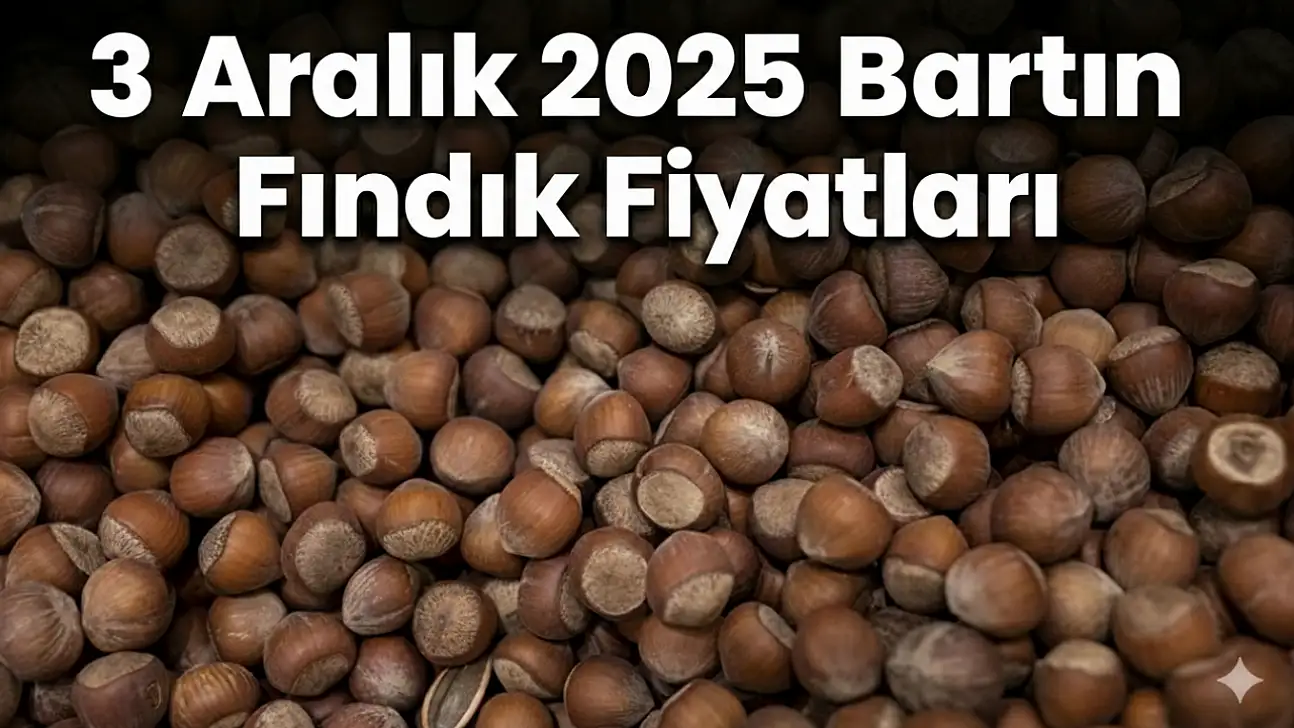 3 Aralık 2025 Bartın Fındık Fiyatları | Amasra'da Yoğun Talep: 318 TL Seviyesi Konuşuluyor