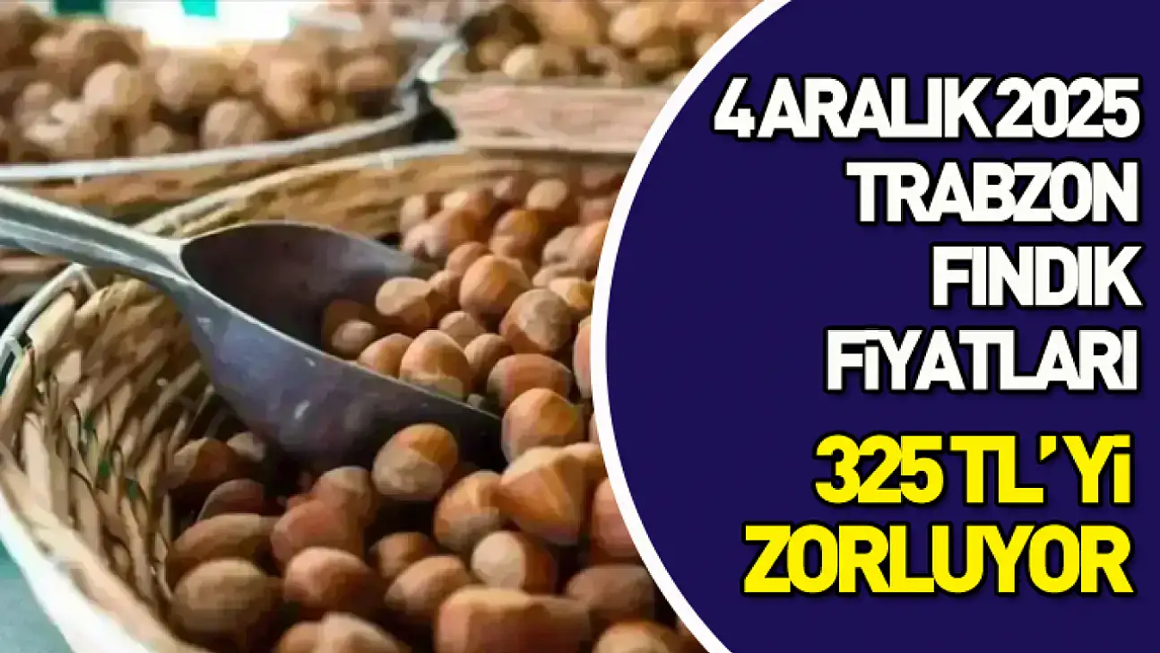 4 Aralık 2025 Trabzon Fındık Fiyatları? Avrupa Talebi Devam Ediyor!
