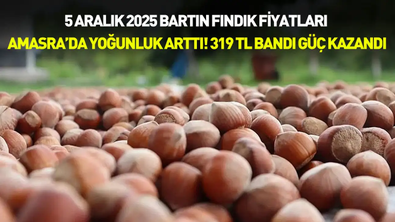 5 Aralık 2025 Bartın Fındık Fiyatları | Amasra'da Yoğunluk Arttı! 319 TL Bandı Güç Kazandı
