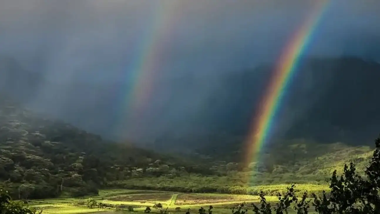 Yağmurdan sonra Gökkuşağı Nasıl Oluşuyor?