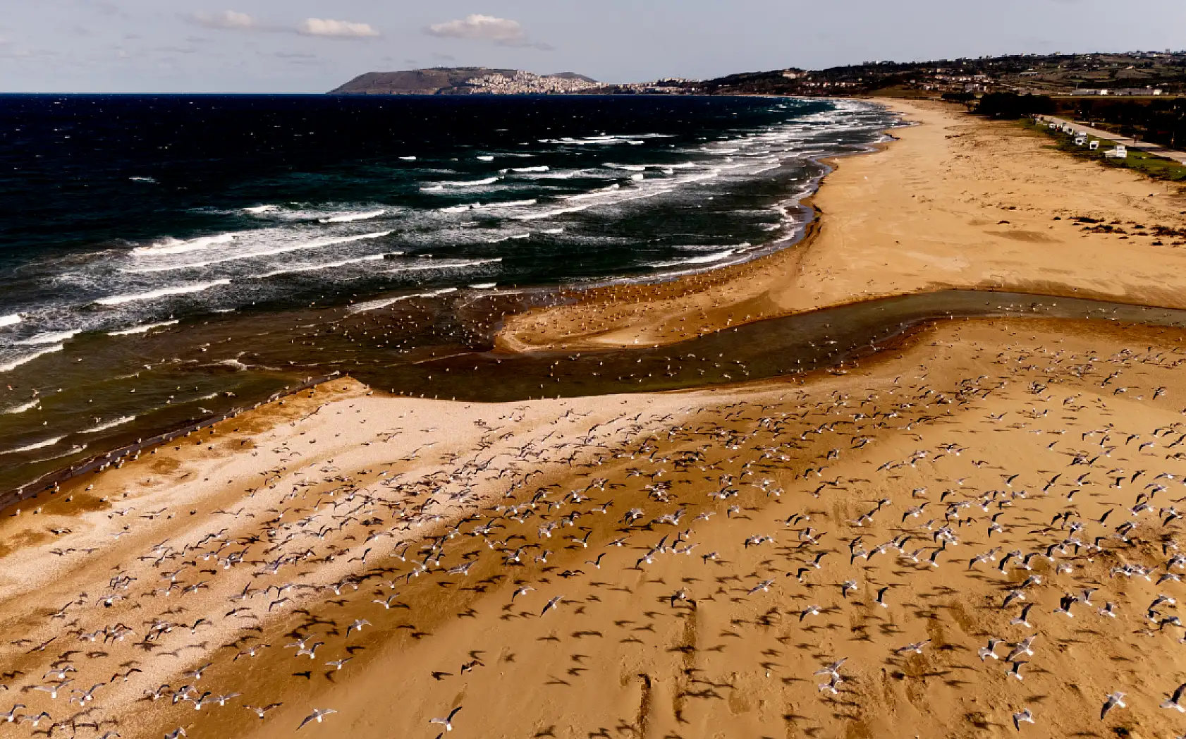Balıkçı teknelerinin peşinde özgürlüğün sembolü
