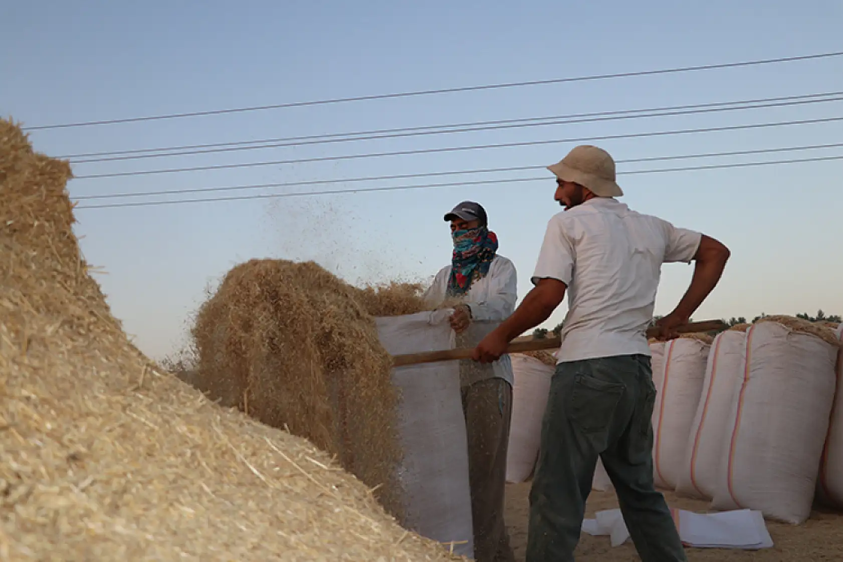 Saman işçilerinin ekmek mücadelesi