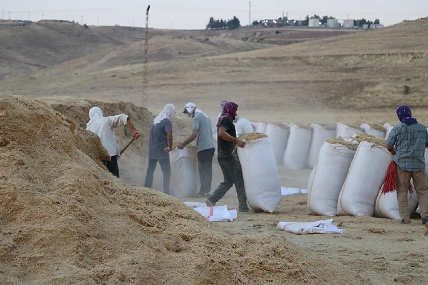 Saman işçilerinin ekmek mücadelesi