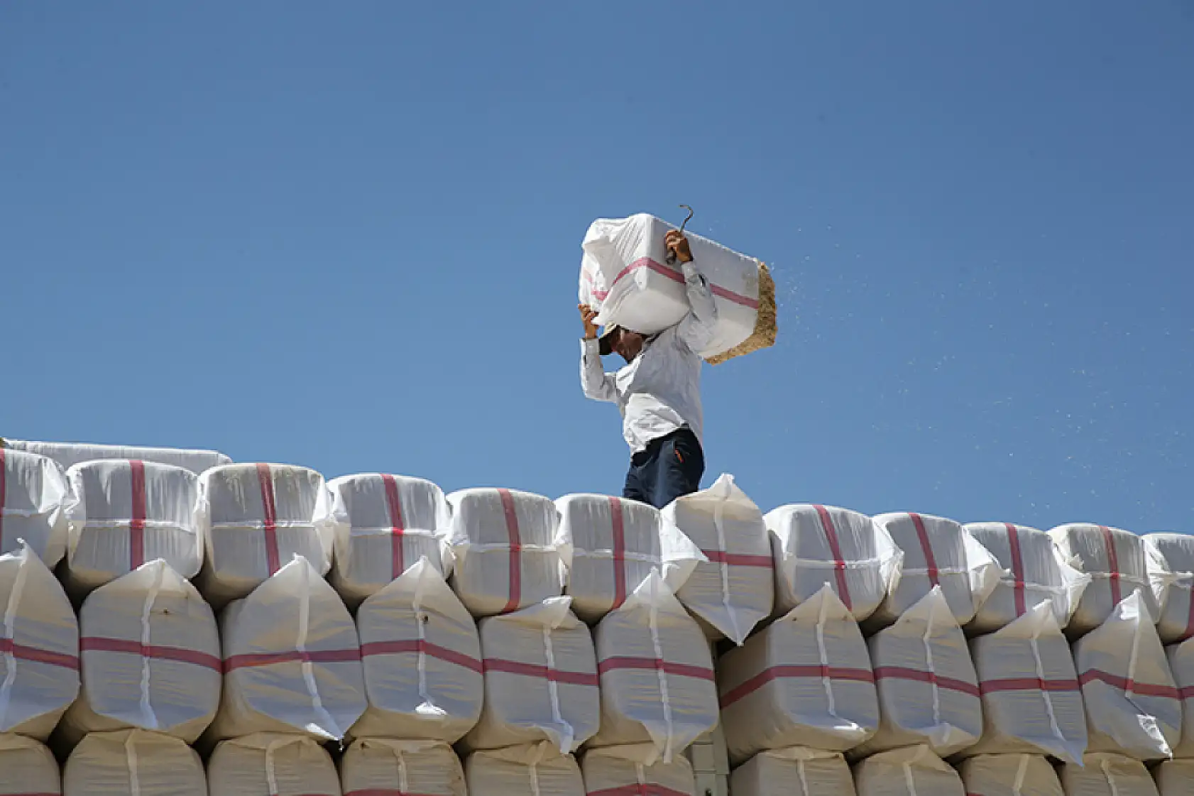 Saman işçilerinin ekmek mücadelesi