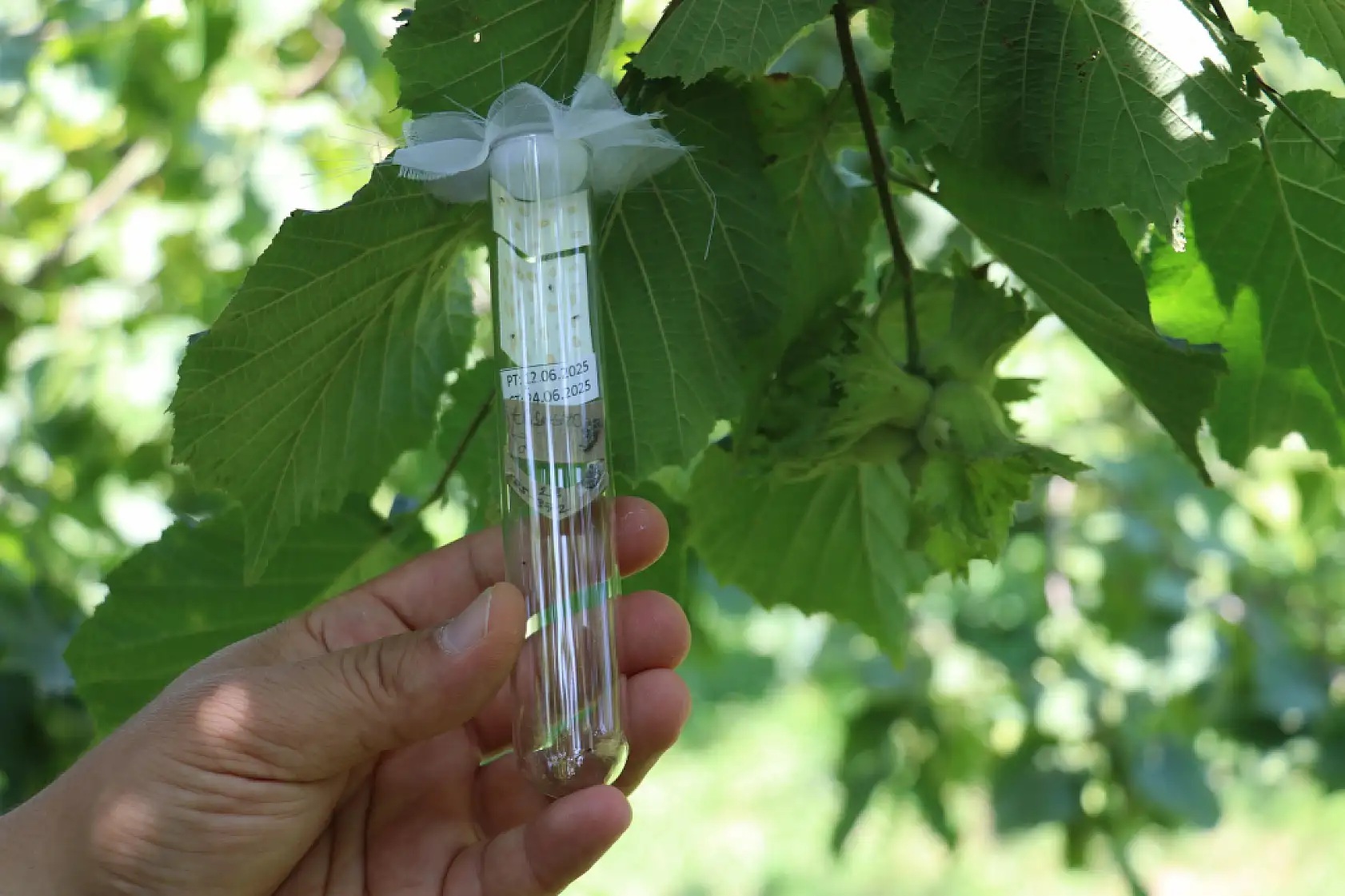 'Kritik hazırlıklar' yoğunlaştı