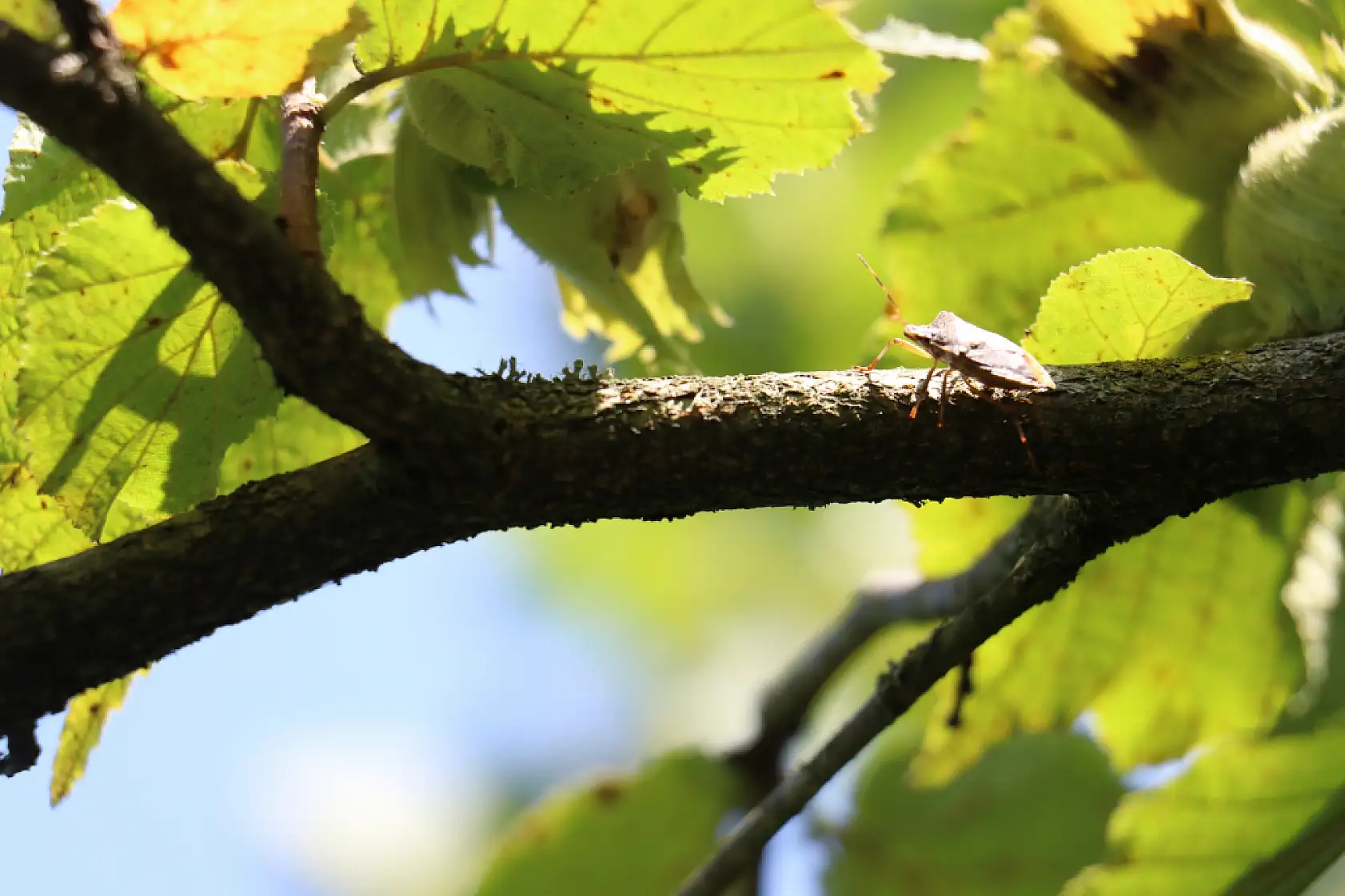 'Kritik hazırlıklar' yoğunlaştı