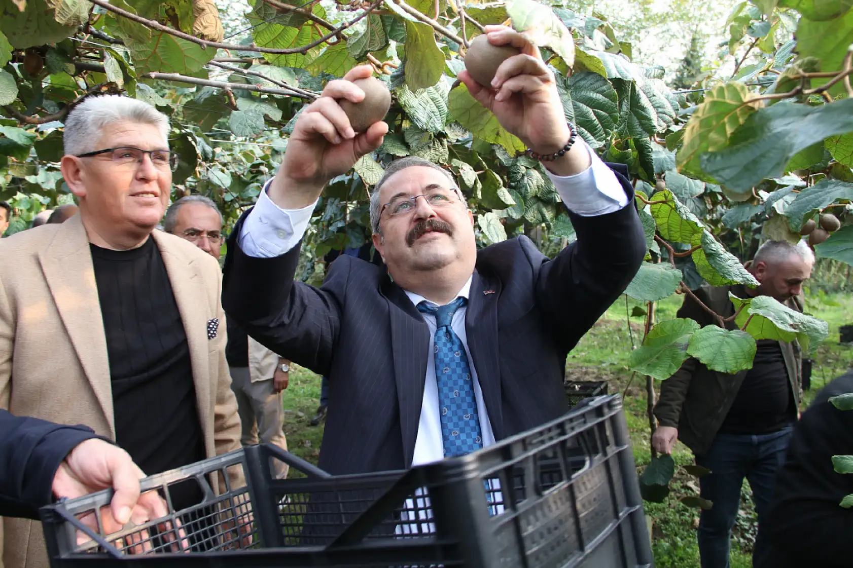 Çarşamba'da '2025 Yılı Kivi Hasat Etkinliği' düzenlendi