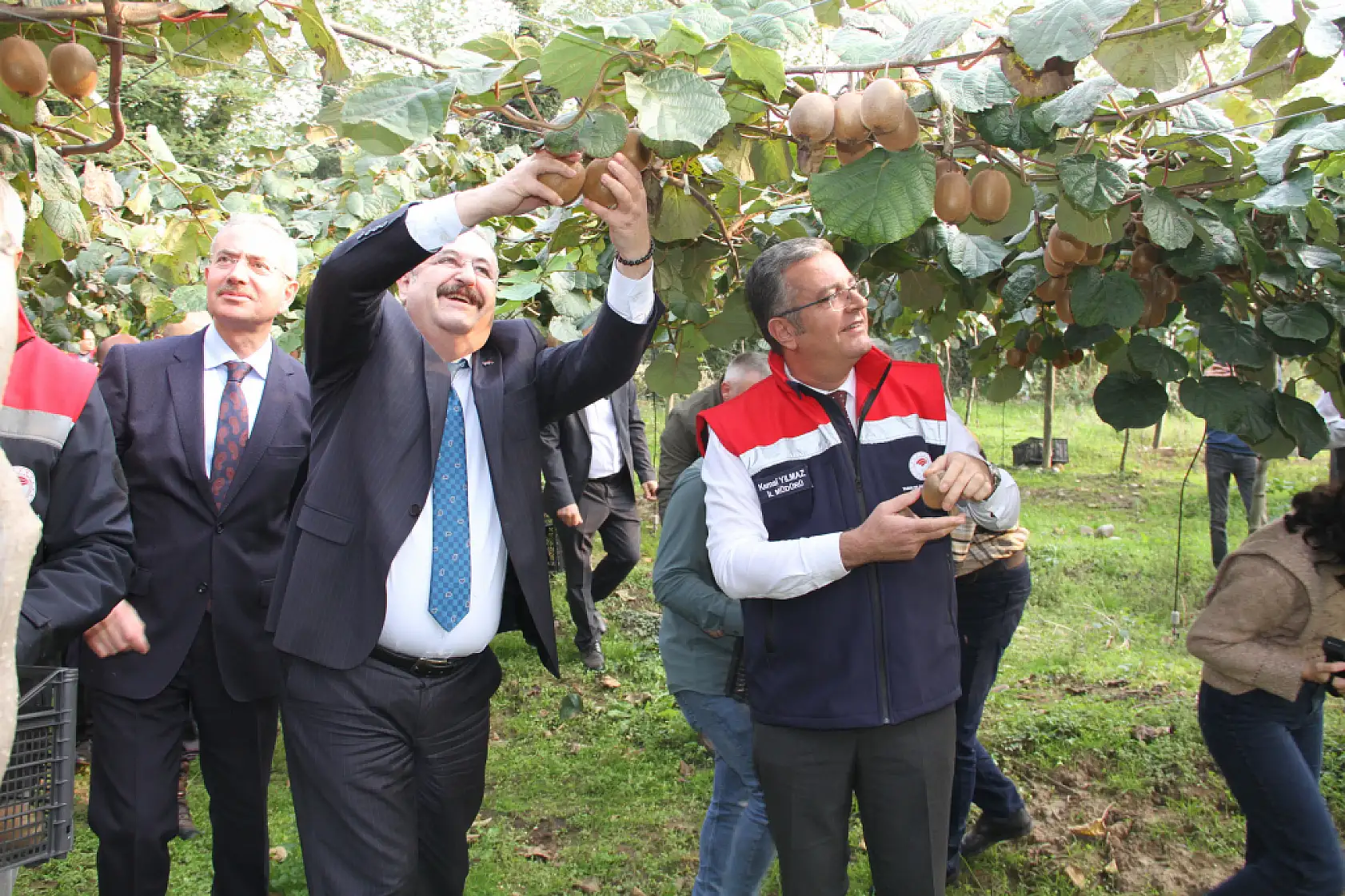 Çarşamba'da '2025 Yılı Kivi Hasat Etkinliği' düzenlendi