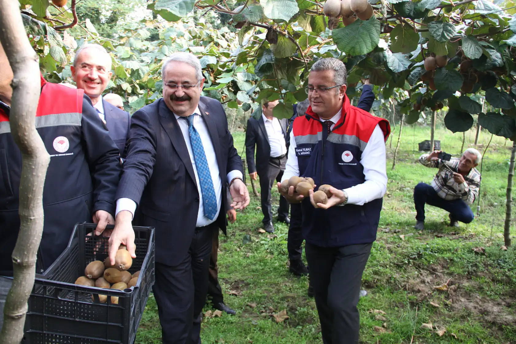Çarşamba'da '2025 Yılı Kivi Hasat Etkinliği' düzenlendi
