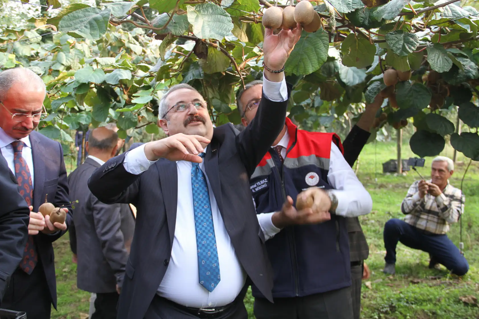 Çarşamba'da '2025 Yılı Kivi Hasat Etkinliği' düzenlendi