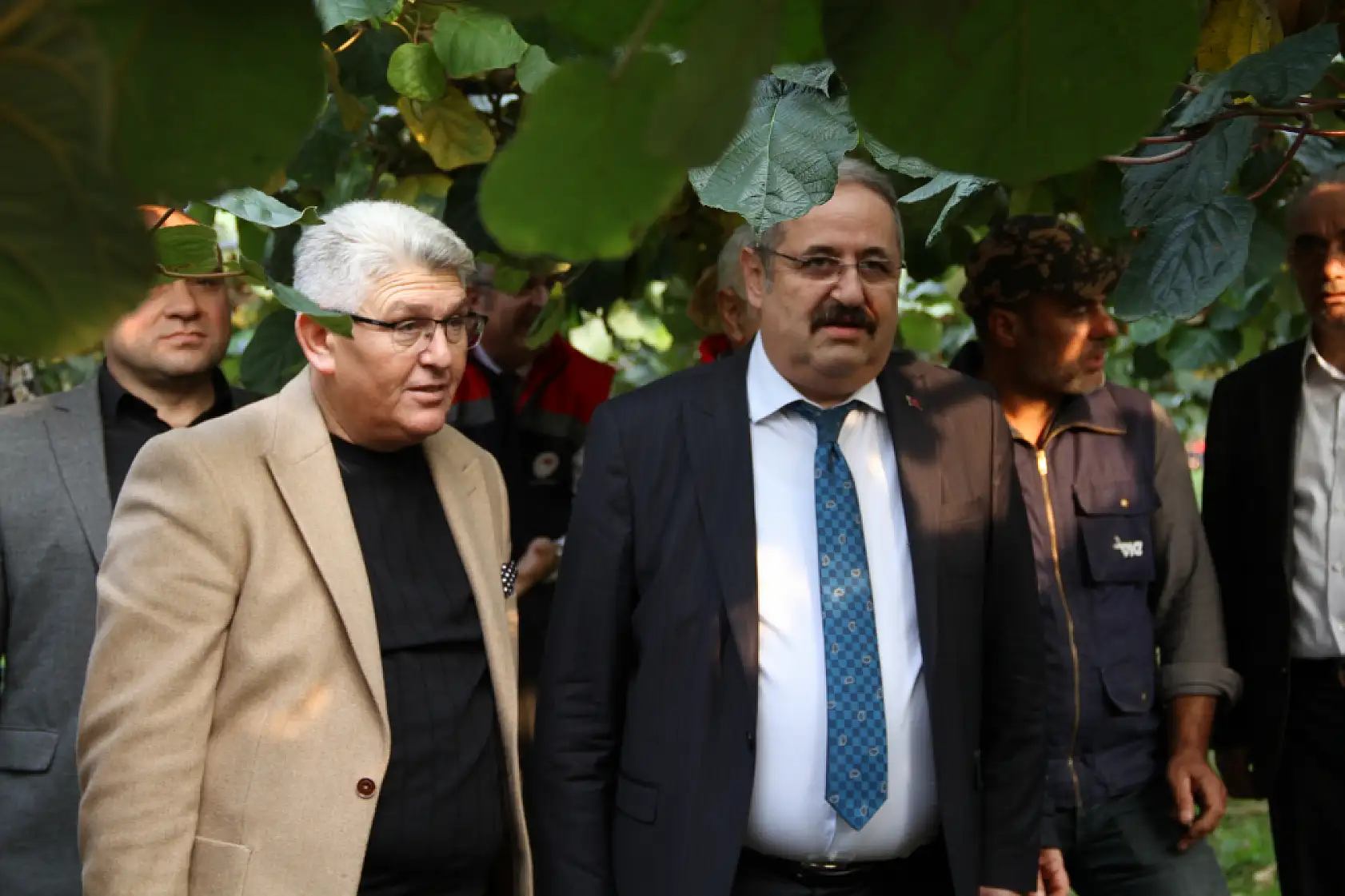 Çarşamba'da '2025 Yılı Kivi Hasat Etkinliği' düzenlendi