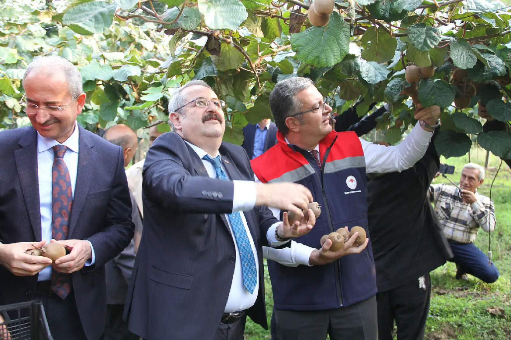 Çarşamba'da '2025 Yılı Kivi Hasat Etkinliği' düzenlendi