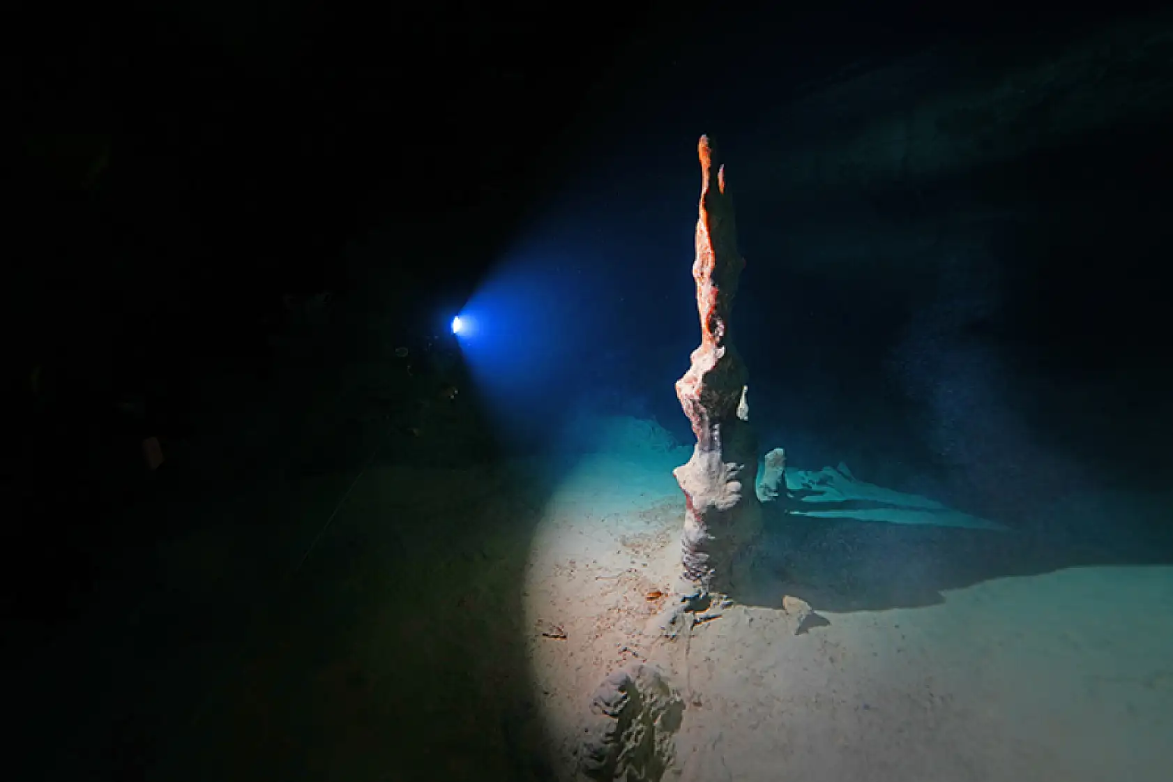 Doğu Akdeniz'in derinliklerindeki renkli yaşam görüntülendi