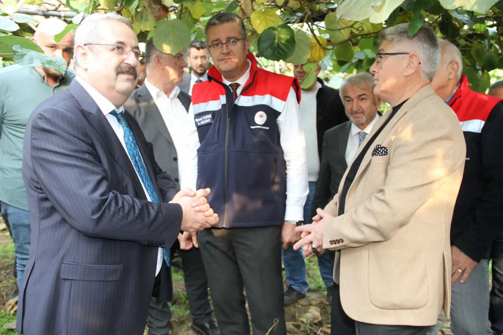 Çarşamba'da '2025 Yılı Kivi Hasat Etkinliği' düzenlendi