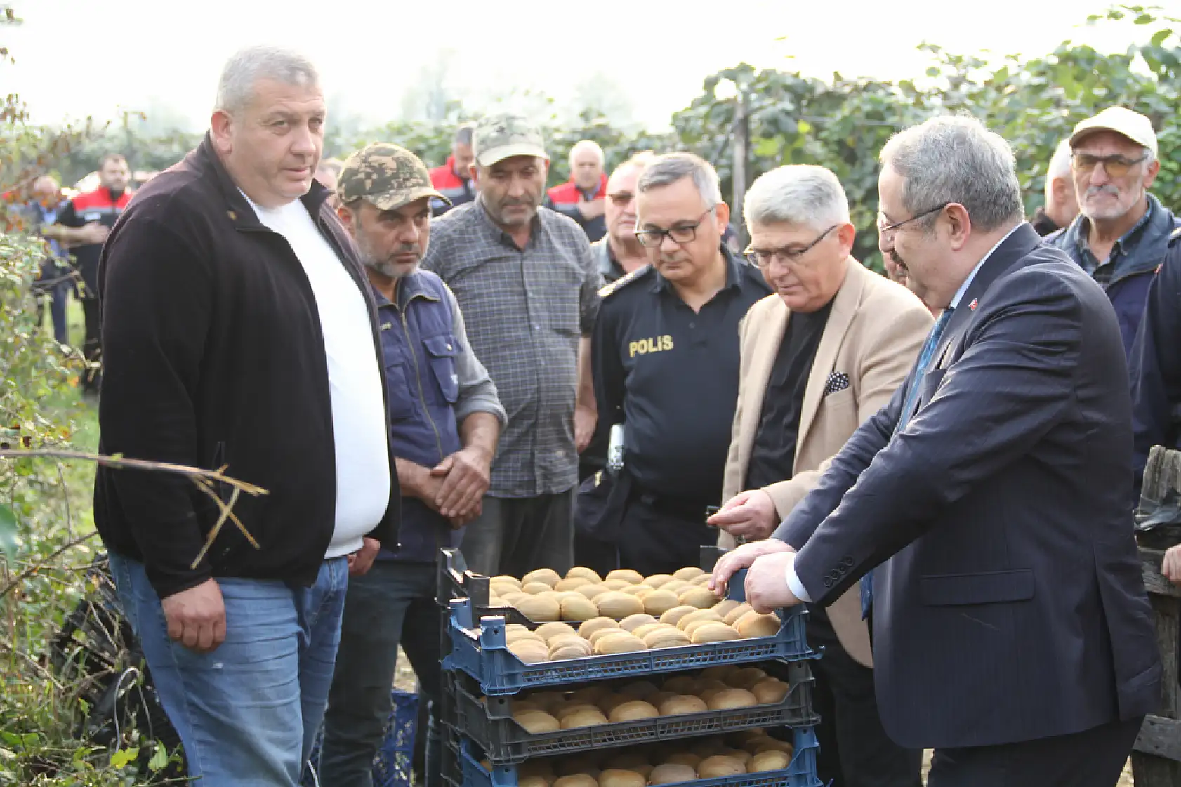 Çarşamba'da '2025 Yılı Kivi Hasat Etkinliği' düzenlendi