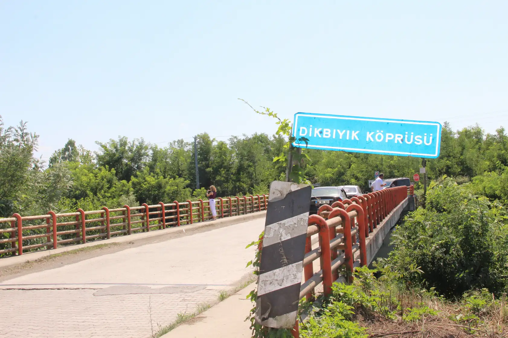 Dikbıyık'ta yeraltı suları kurudu