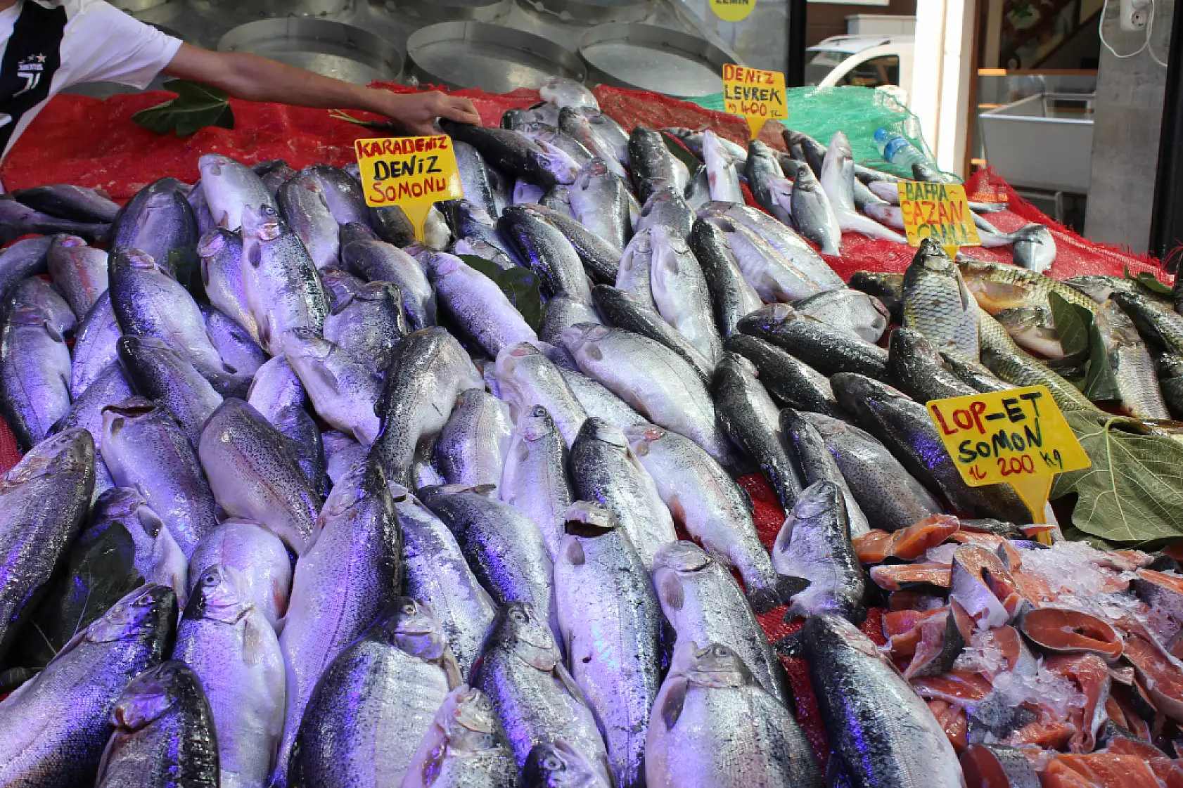 Samsunlu Balıkçılardan Müjde 'Bu Sene Hamsi Bolluğu Var'
