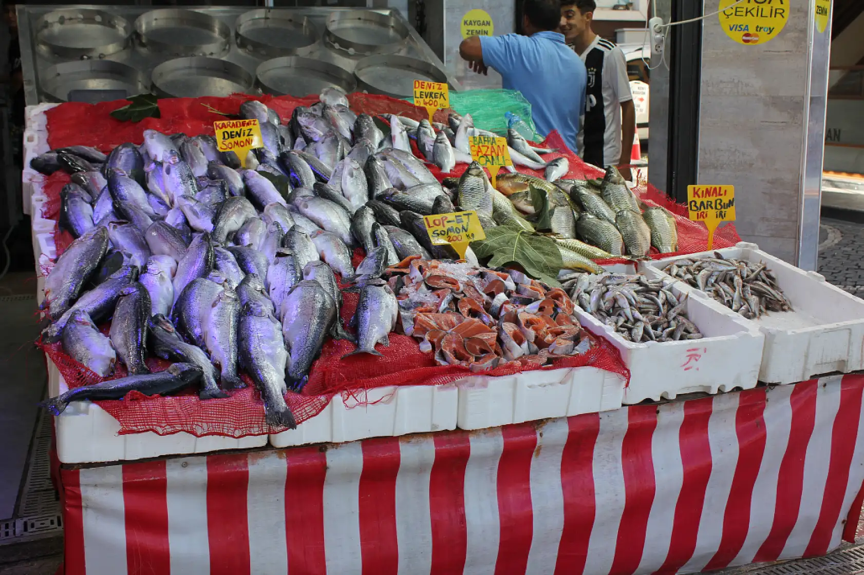 Samsunlu Balıkçılardan Müjde 'Bu Sene Hamsi Bolluğu Var'