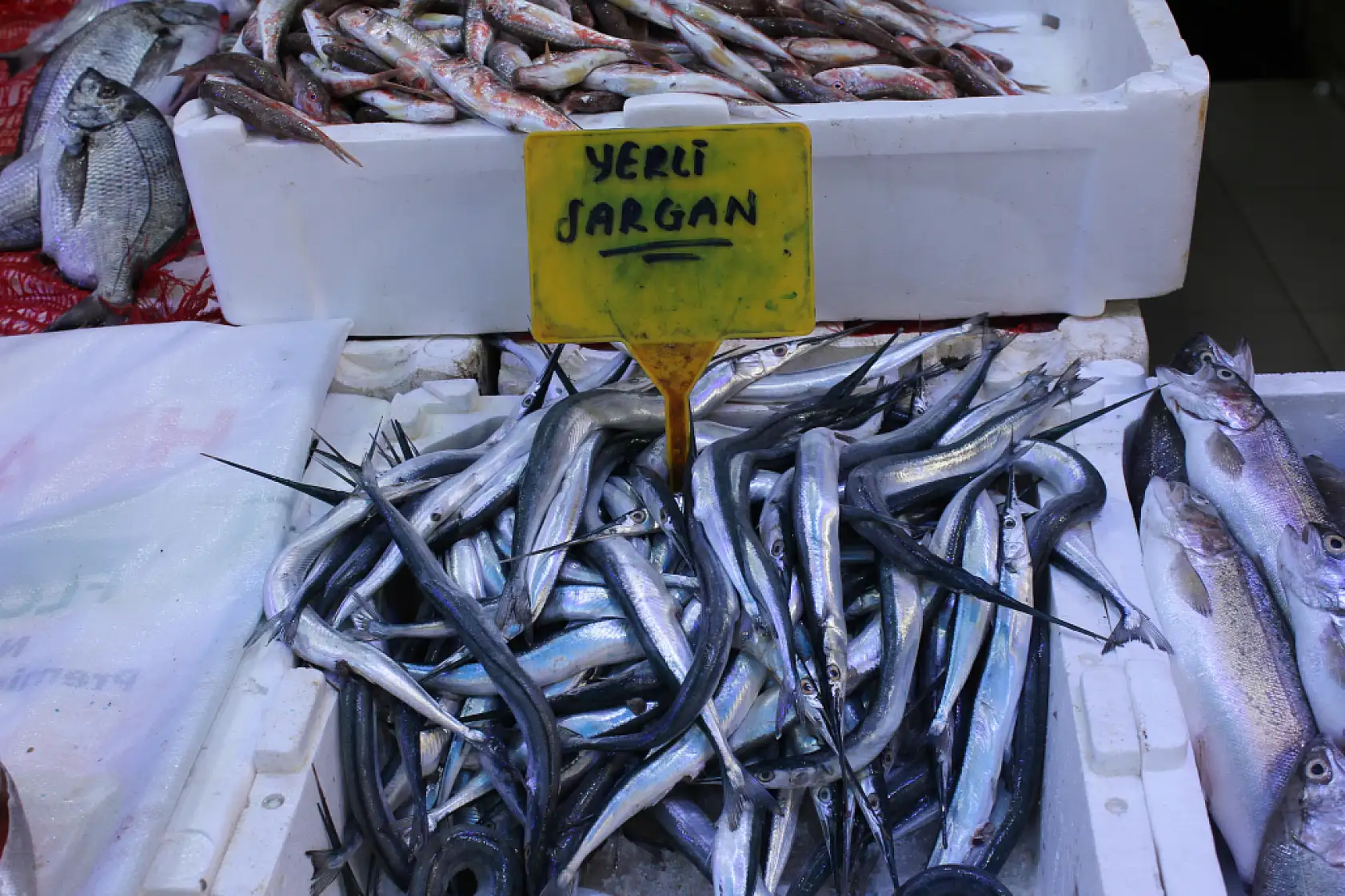 Balık sezonu başladı ama…