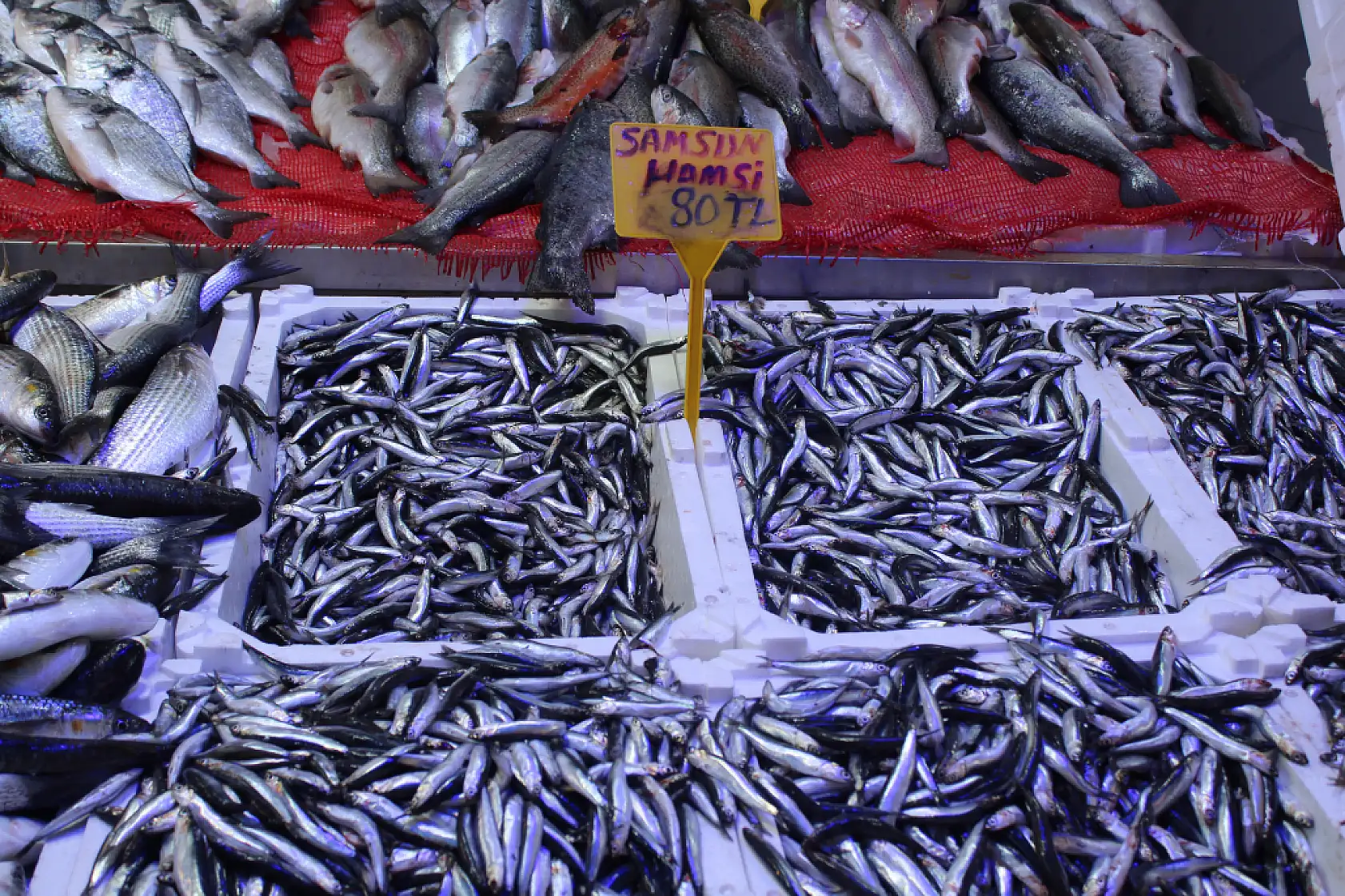 Et ve tavuk alamayanlara balıkçıdan çağrı