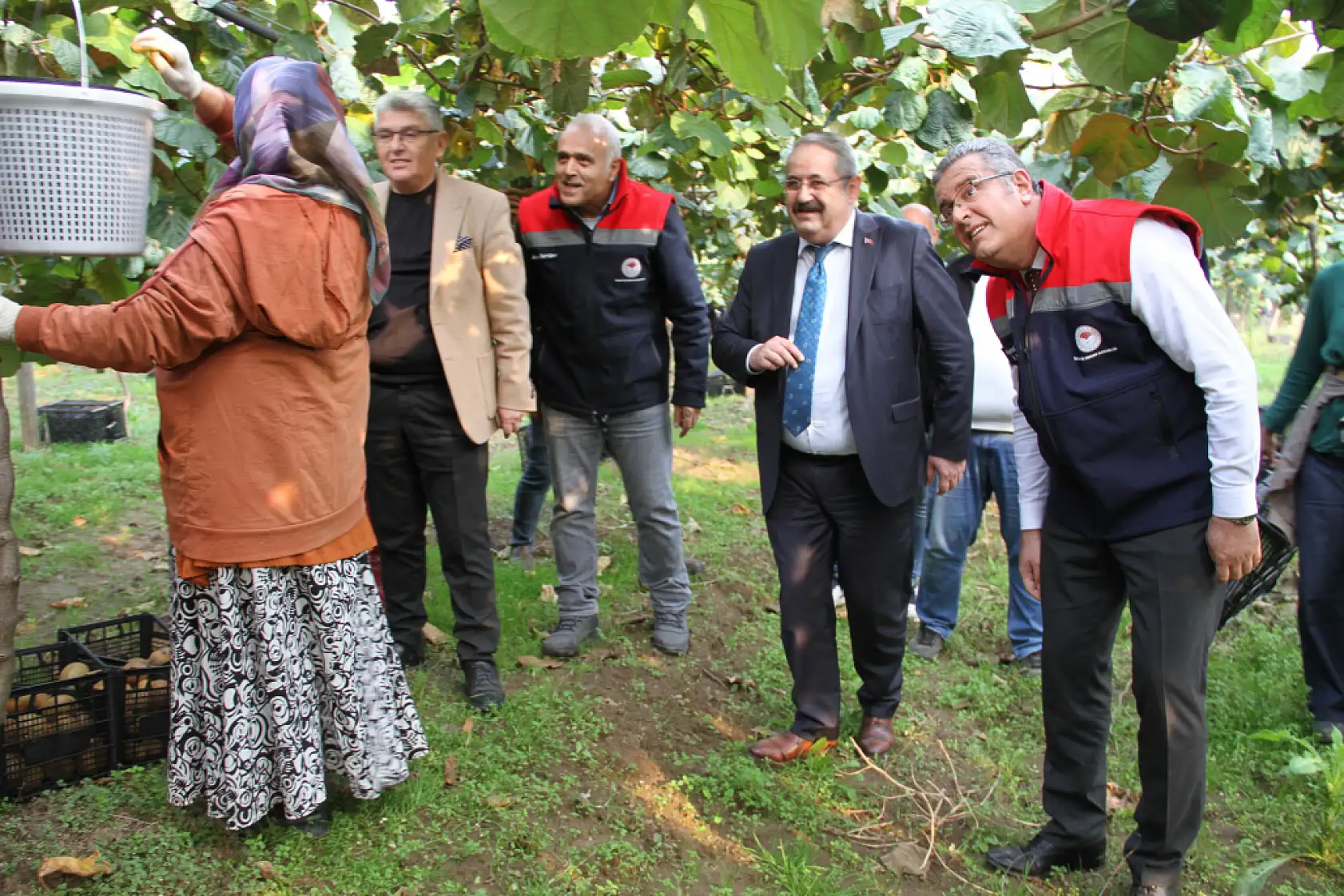 Çarşamba'da '2025 Yılı Kivi Hasat Etkinliği' düzenlendi