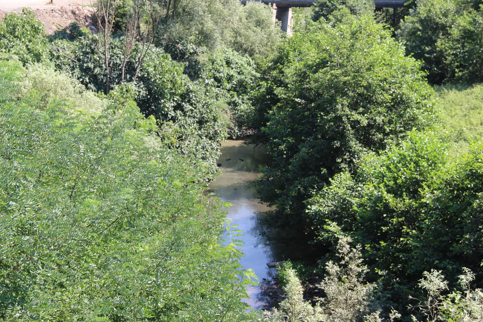 Dikbıyık'ta yeraltı suları kurudu