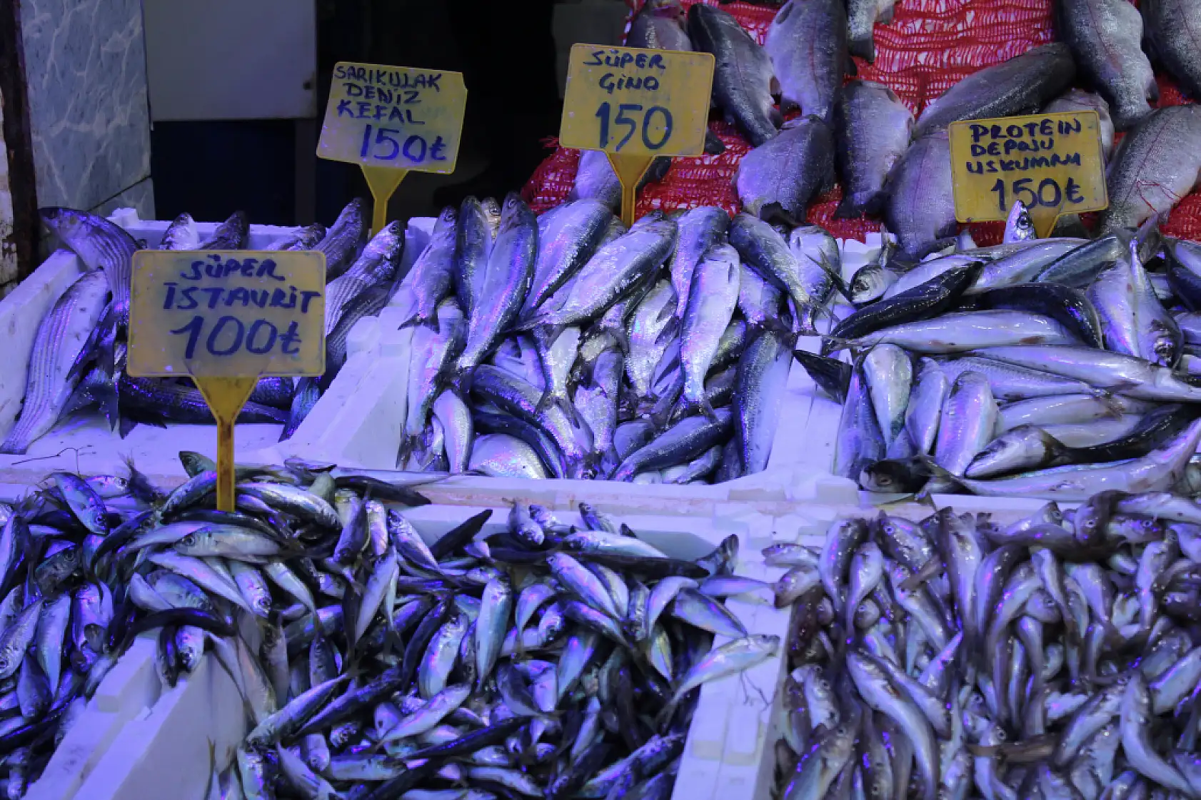 Hamsi Bolluğu Başladı 'Fiyatlar Yarı Yarıya Düştü'