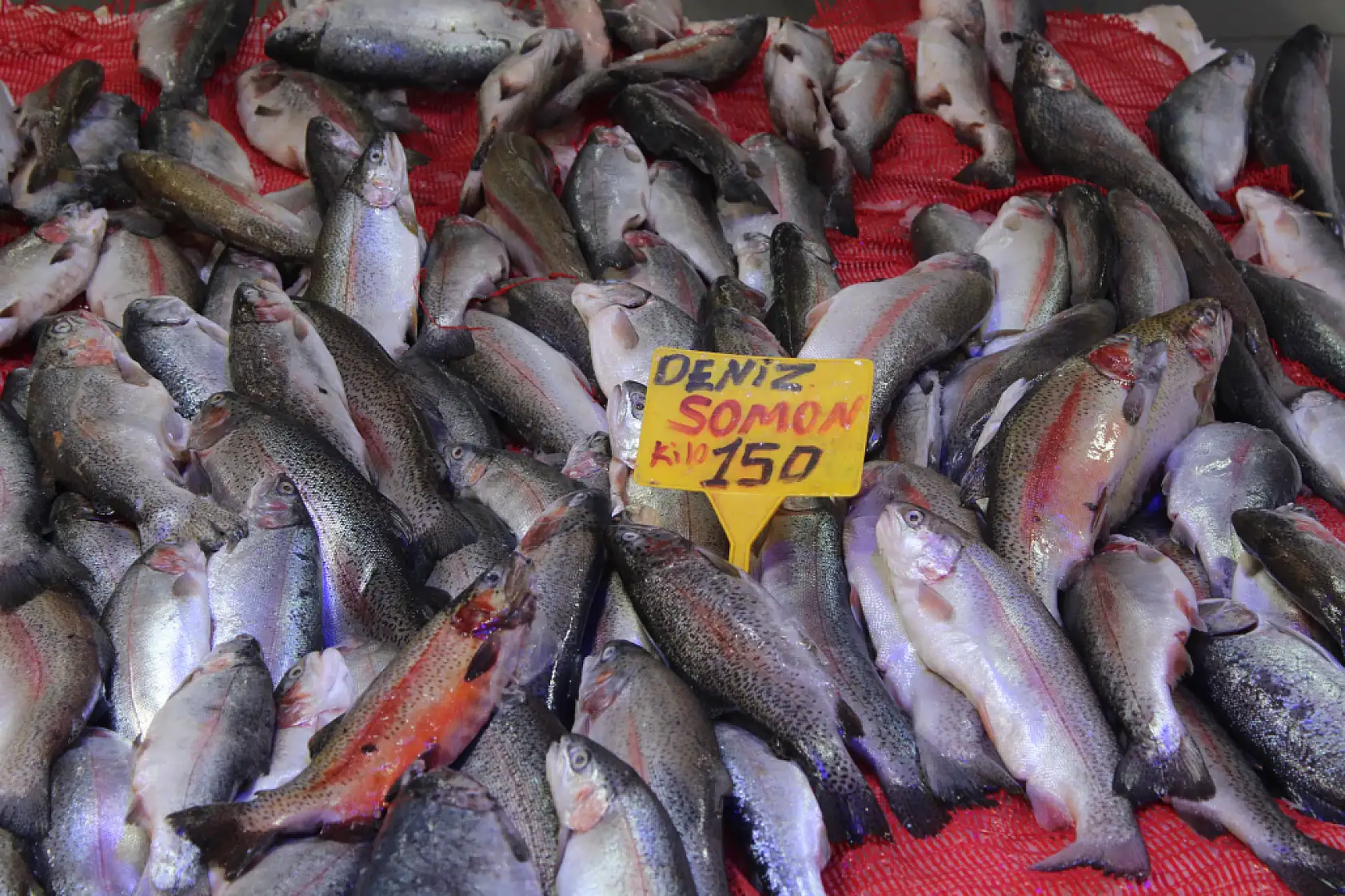 Et ve tavuk alamayanlara balıkçıdan çağrı