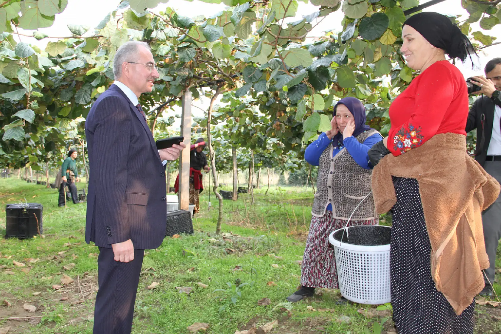 Çarşamba'da '2025 Yılı Kivi Hasat Etkinliği' düzenlendi