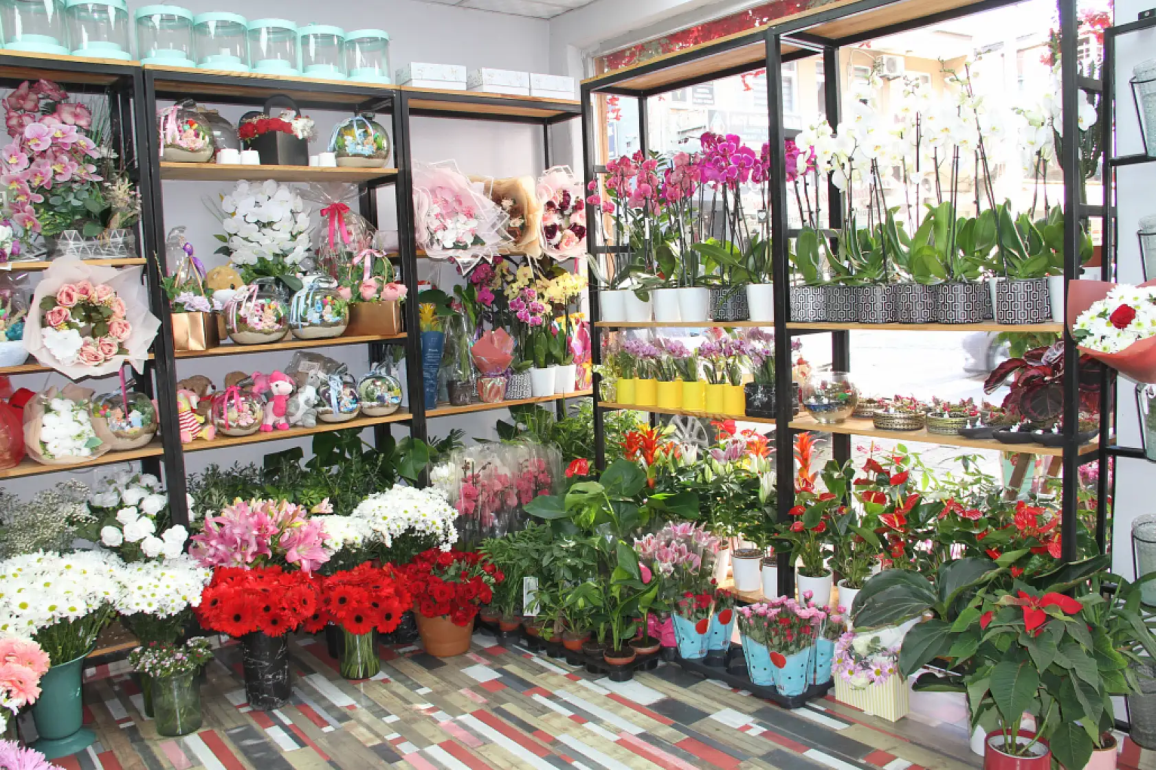 Her Kasım Aynı Hikaye Kasımpatı Kapış Kapış