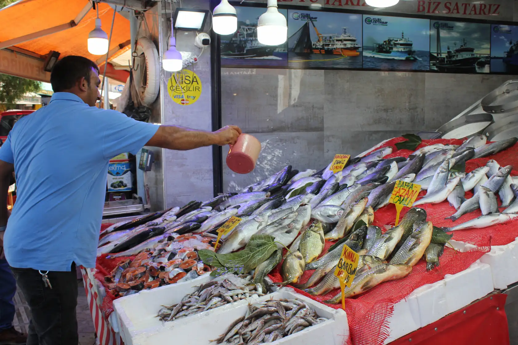 Samsunlu Balıkçılardan Müjde 'Bu Sene Hamsi Bolluğu Var'