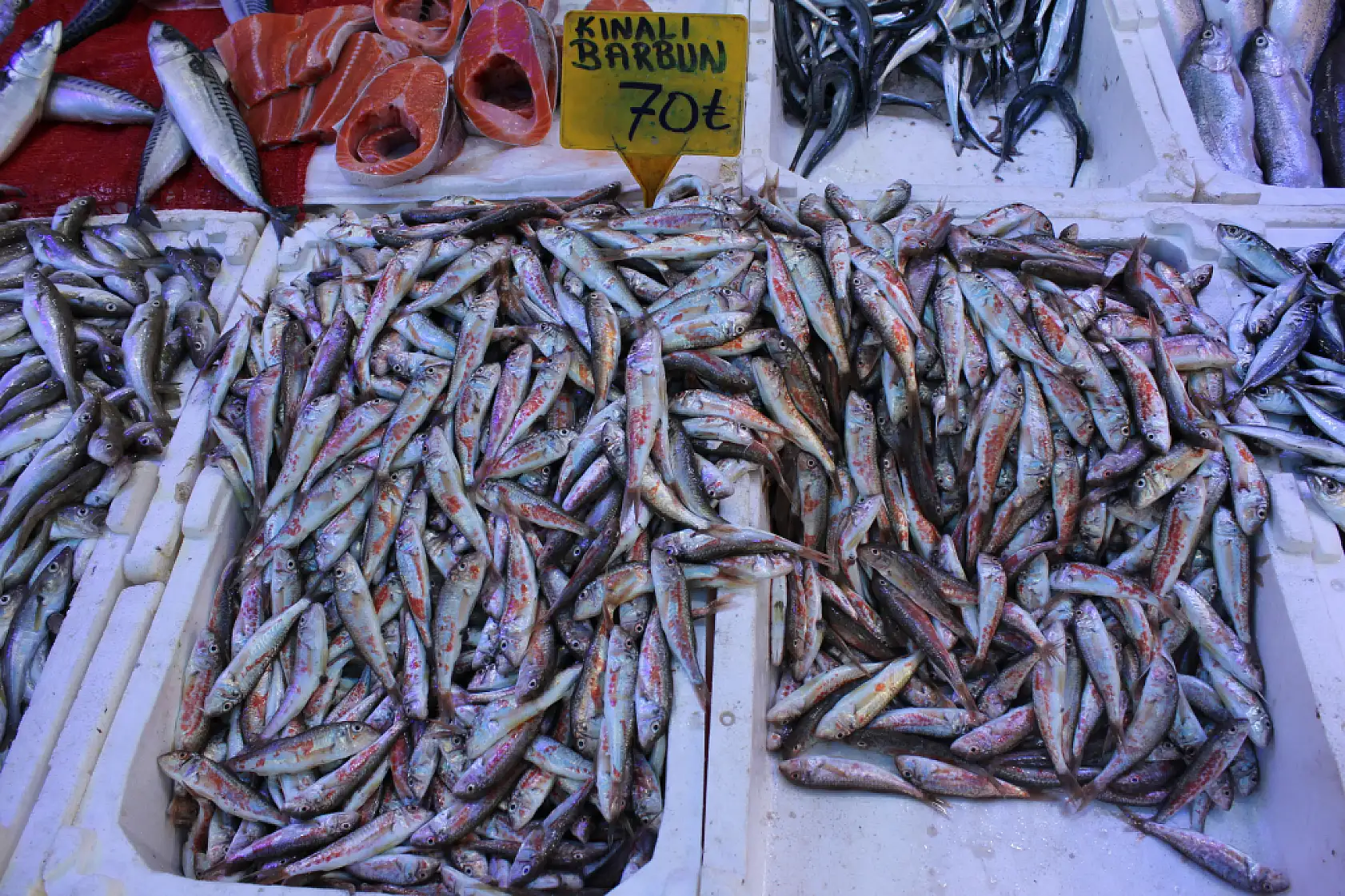 Balık sezonu başladı ama…