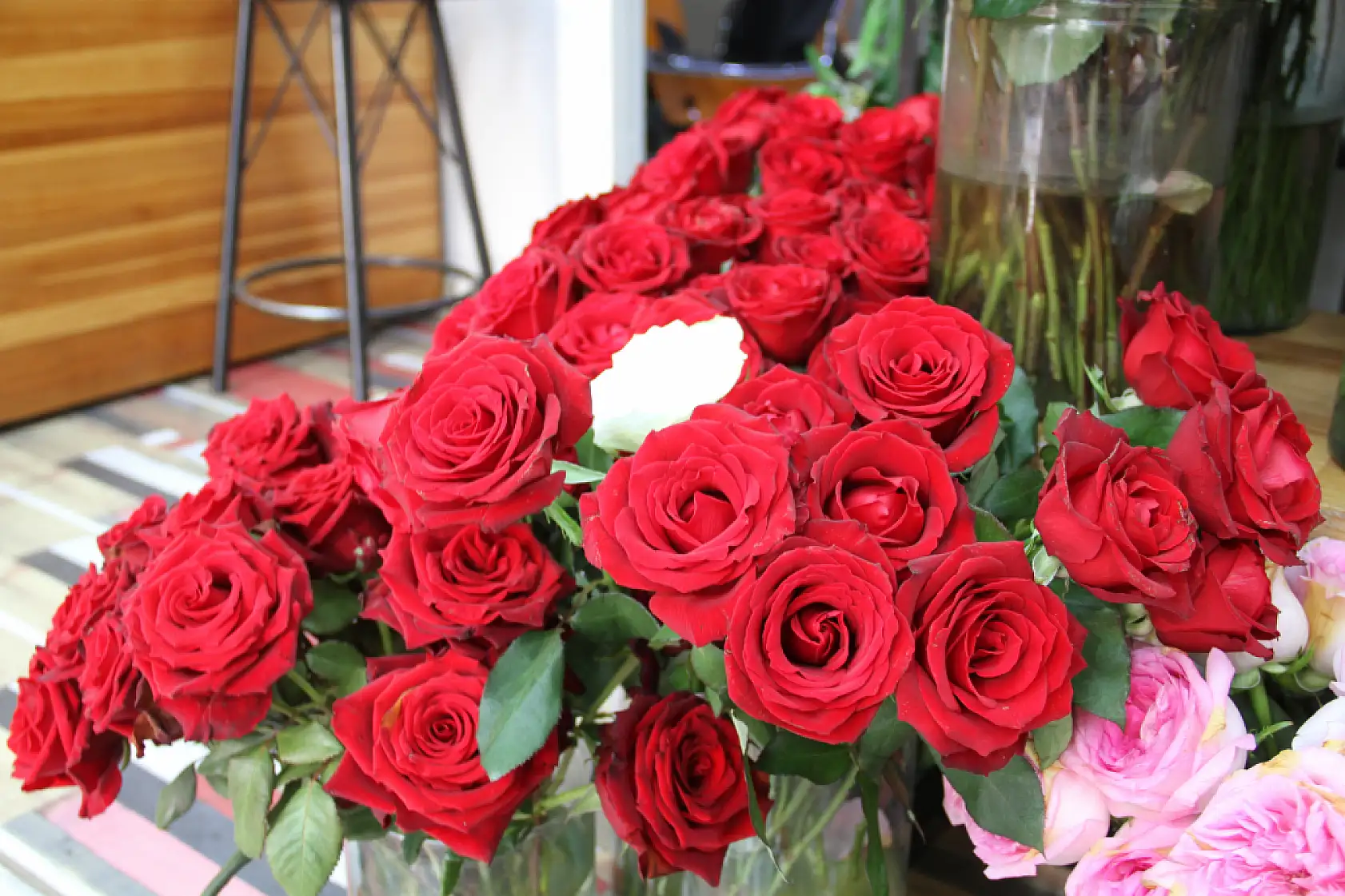 Her Kasım Aynı Hikaye Kasımpatı Kapış Kapış