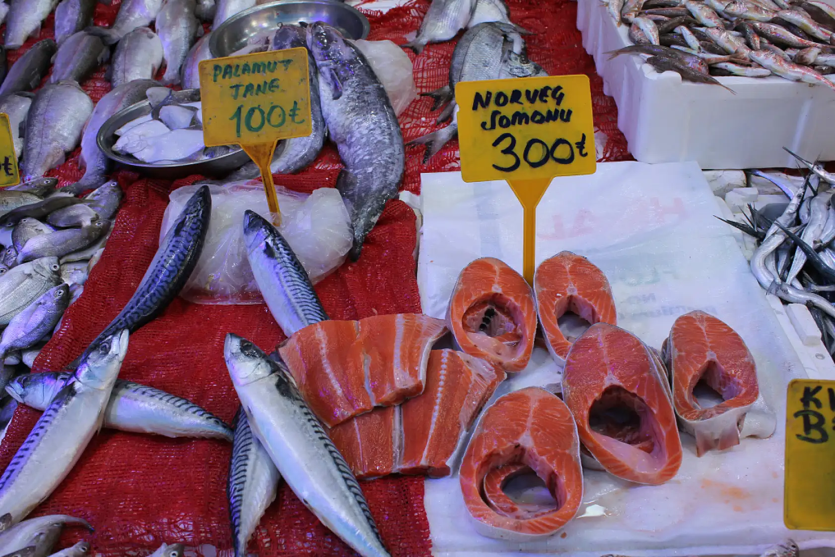 Balık sezonu başladı ama…