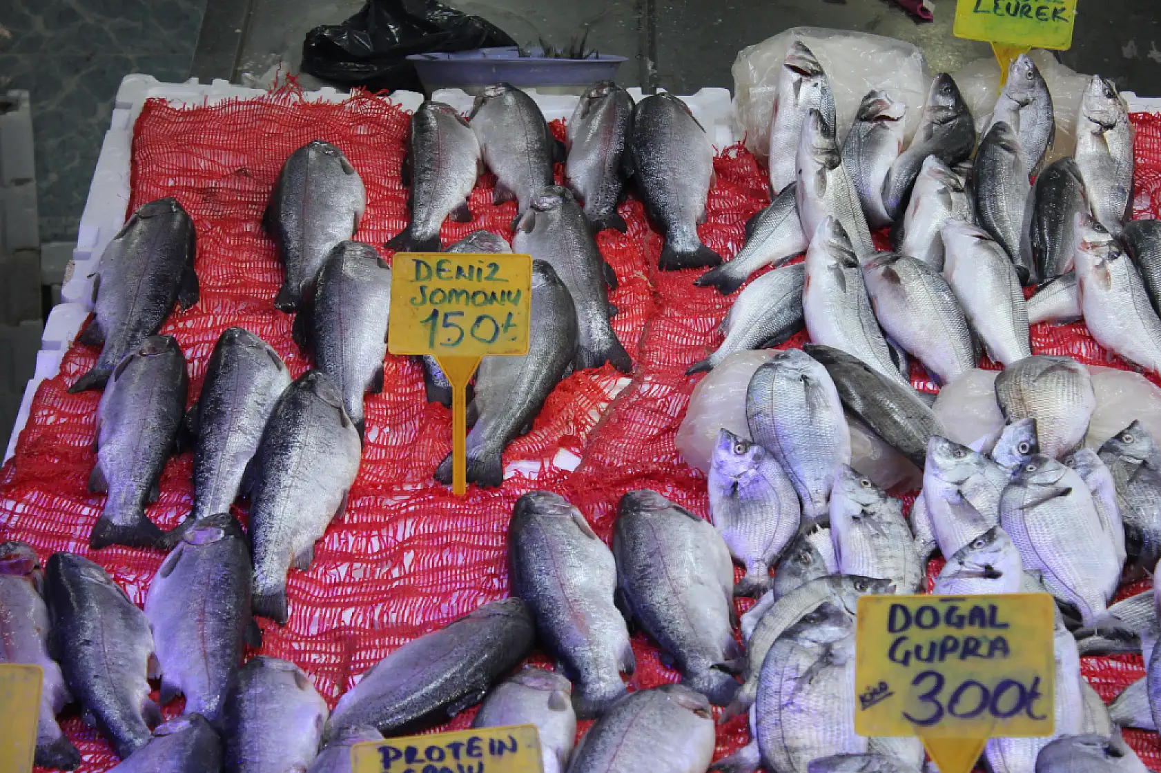 Hamsi Bolluğu Başladı 'Fiyatlar Yarı Yarıya Düştü'