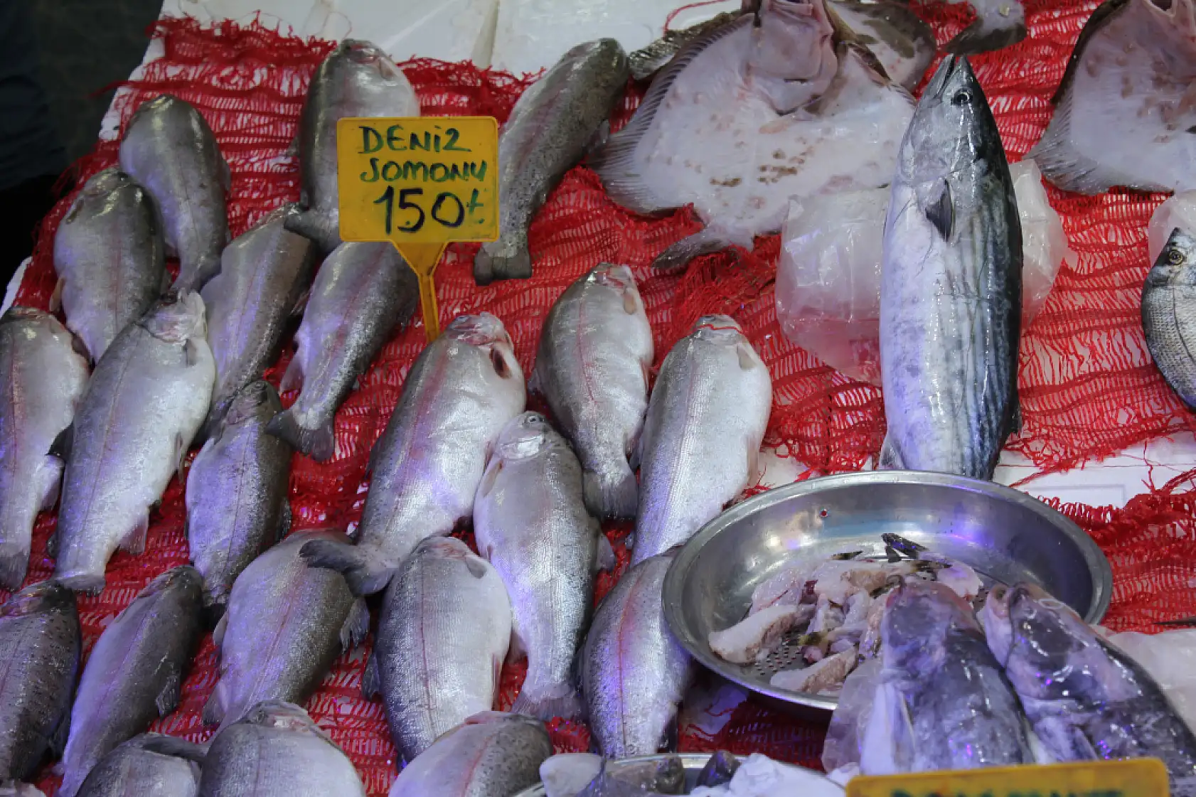 Balık sezonu başladı ama…