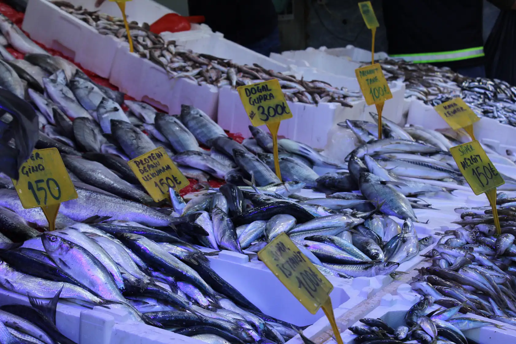 Hamsi Bolluğu Başladı 'Fiyatlar Yarı Yarıya Düştü'