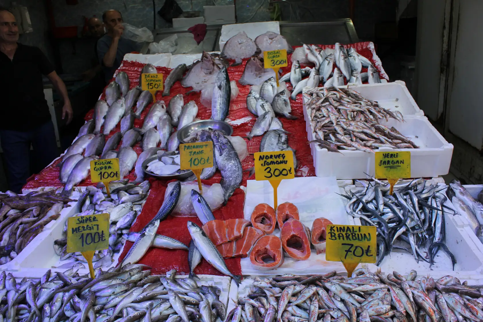 Balık sezonu başladı ama…