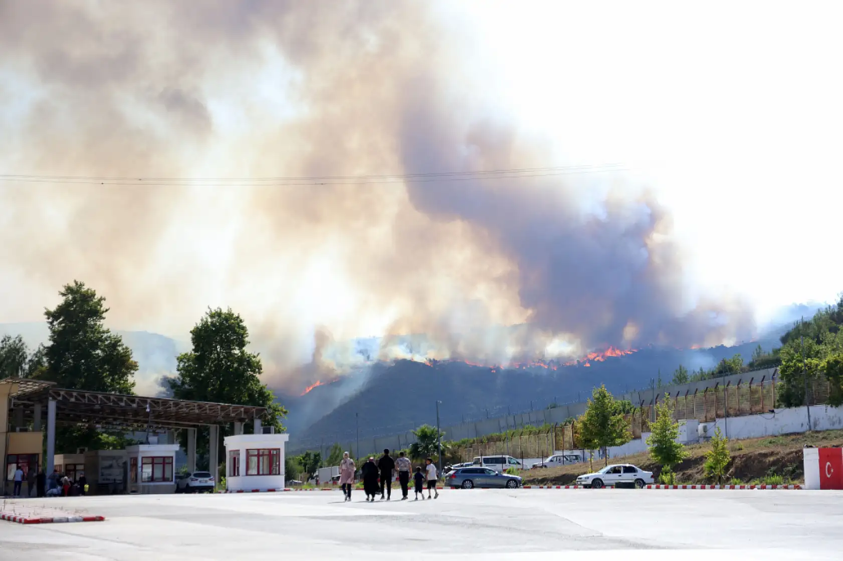 Türkiye - Suriye sınırının sıfır noktasında orman yangını