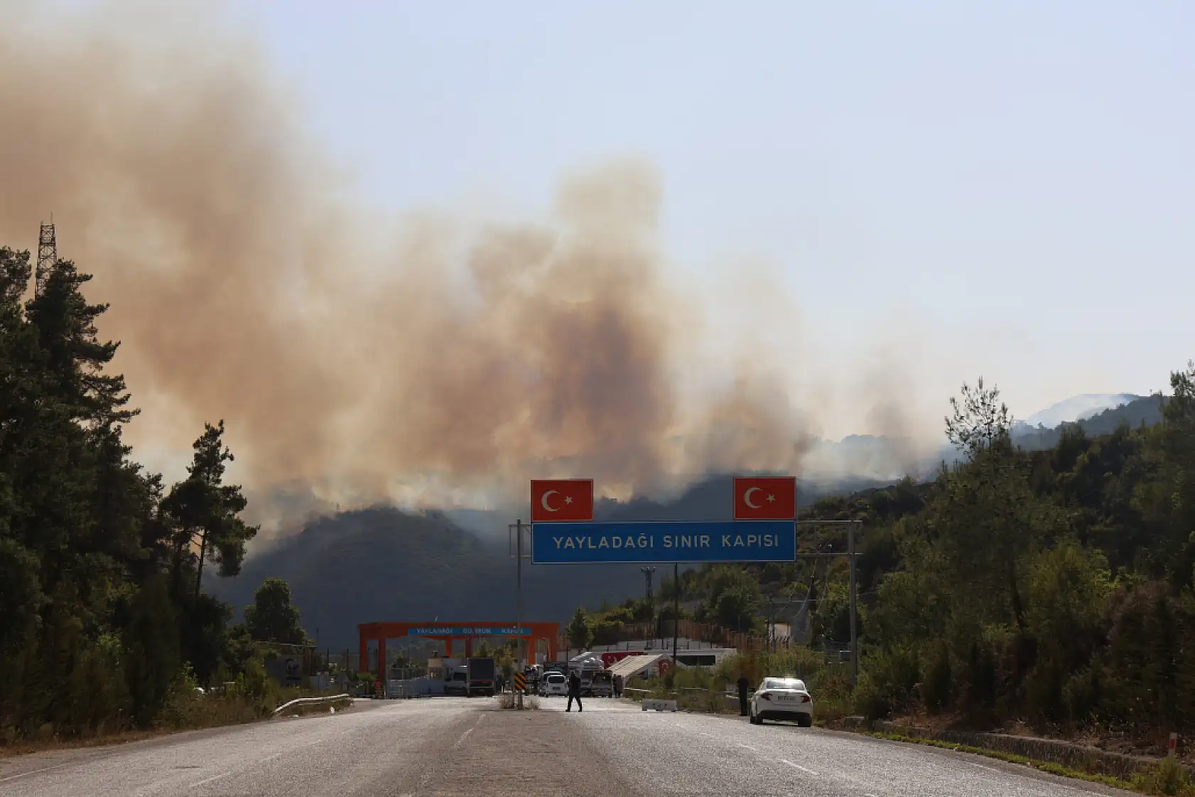 Türkiye - Suriye sınırının sıfır noktasında orman yangını