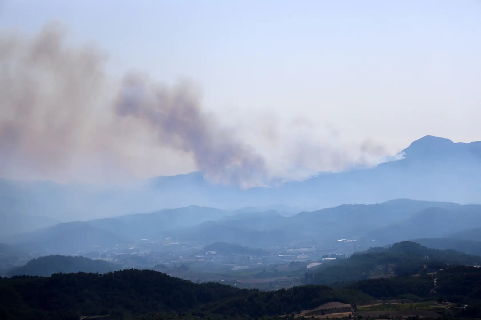 Türkiye - Suriye sınırının sıfır noktasında orman yangını